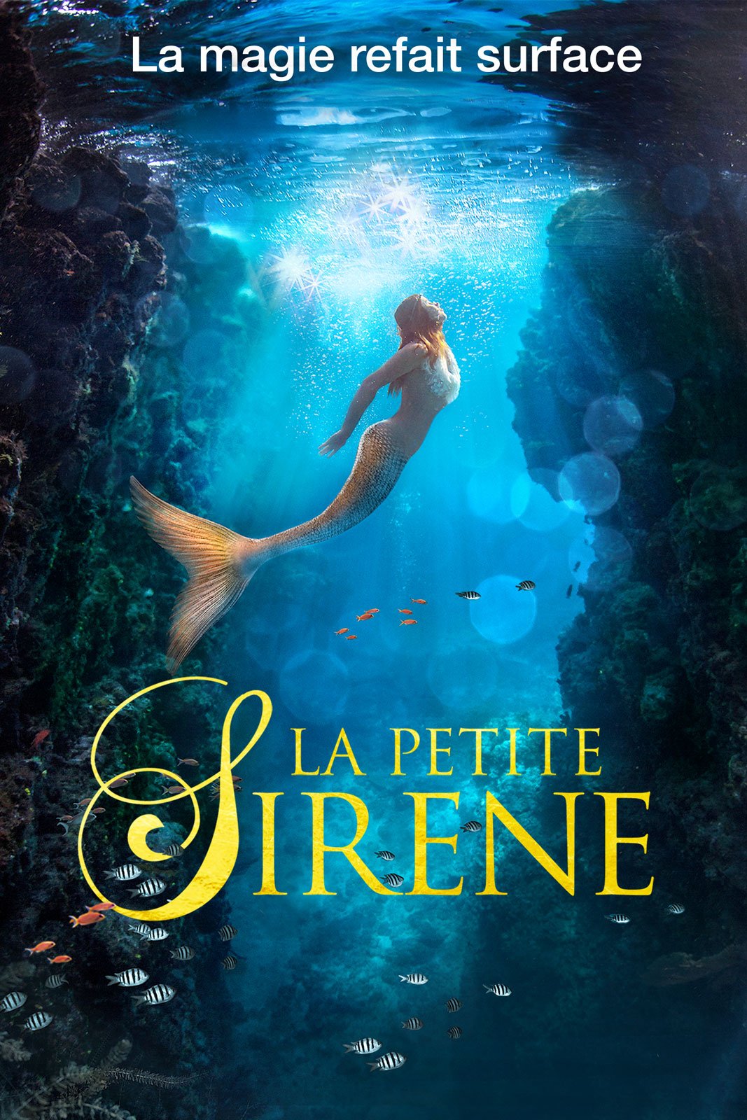 La Petite Sirène - Le roman du film