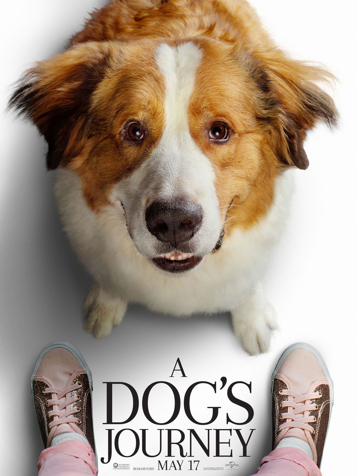 Mes Autres Vies De Chien Vf Affiche du film Mes autres vies de chien - Photo 39 sur 39 - AlloCiné
