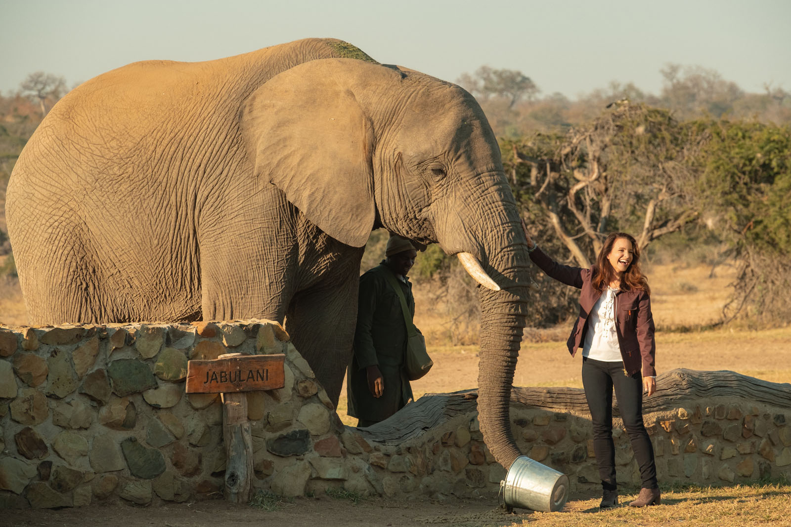 film un safari pour noel