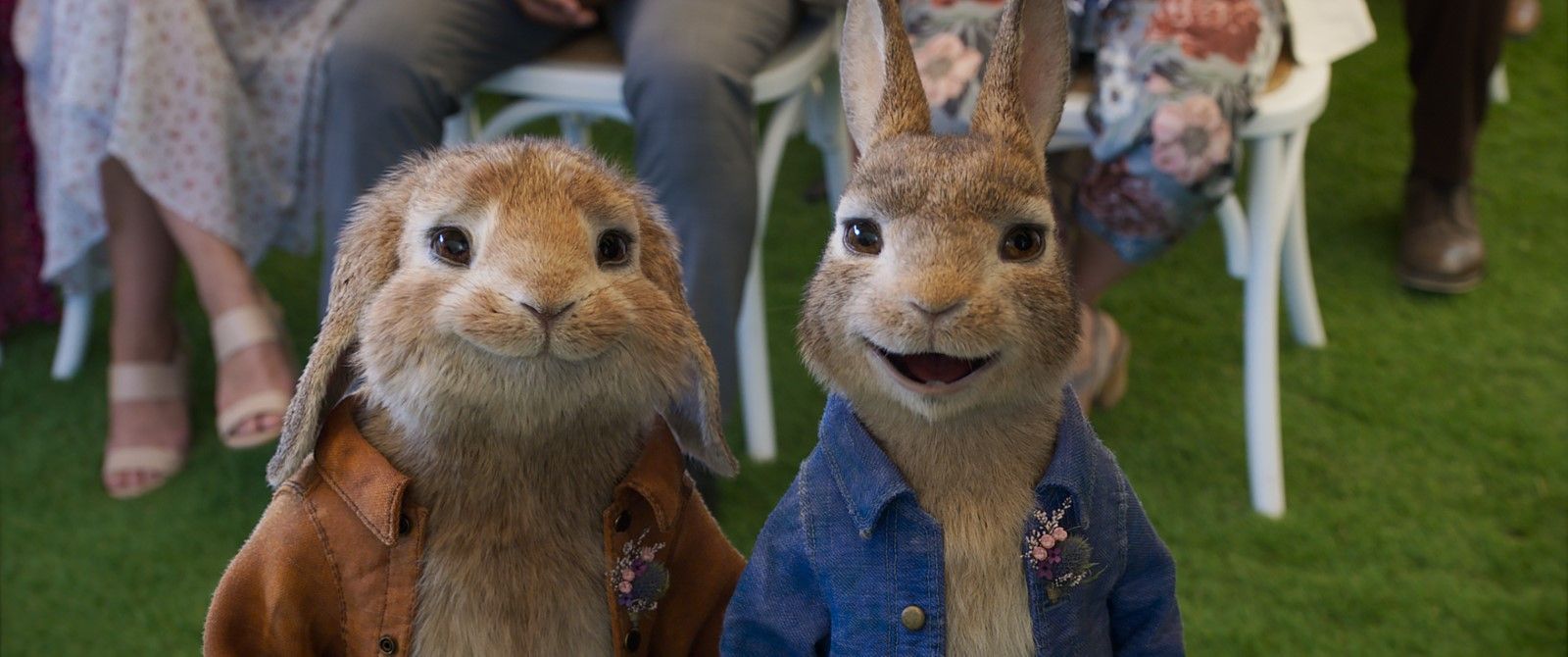 Photo du film Pierre Lapin 2 - Photo 24 sur 27 - AlloCiné