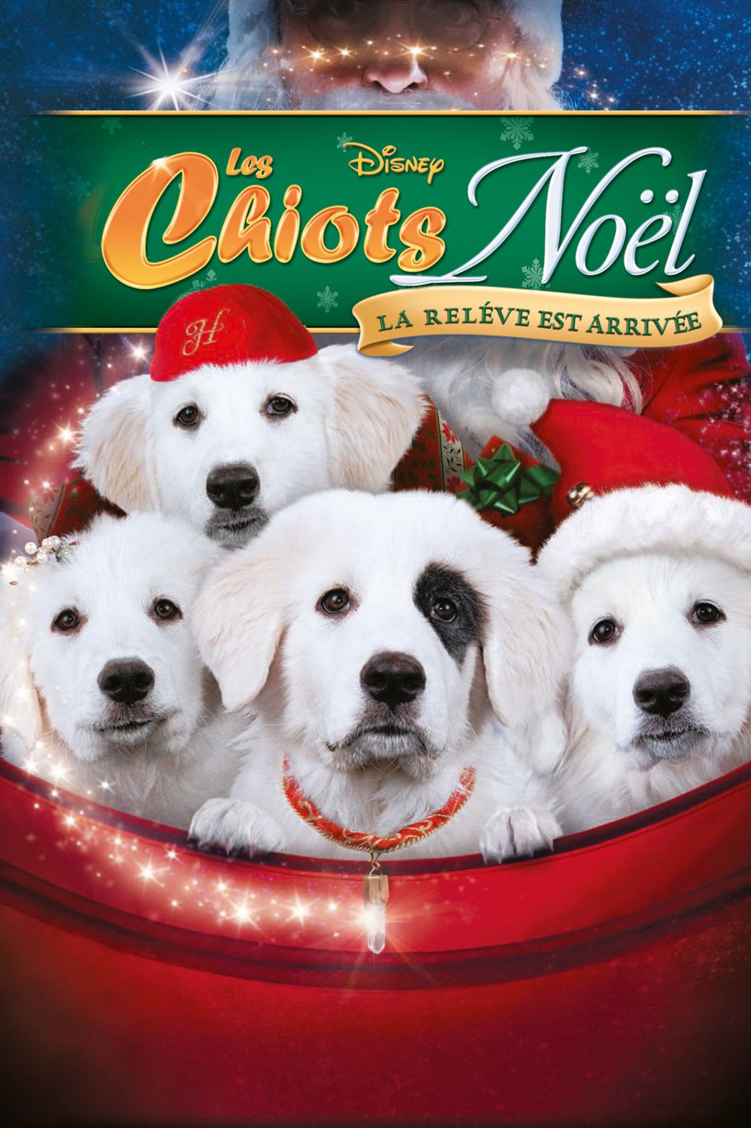 Les Chiots Noël, la relève est arrivée streaming fr