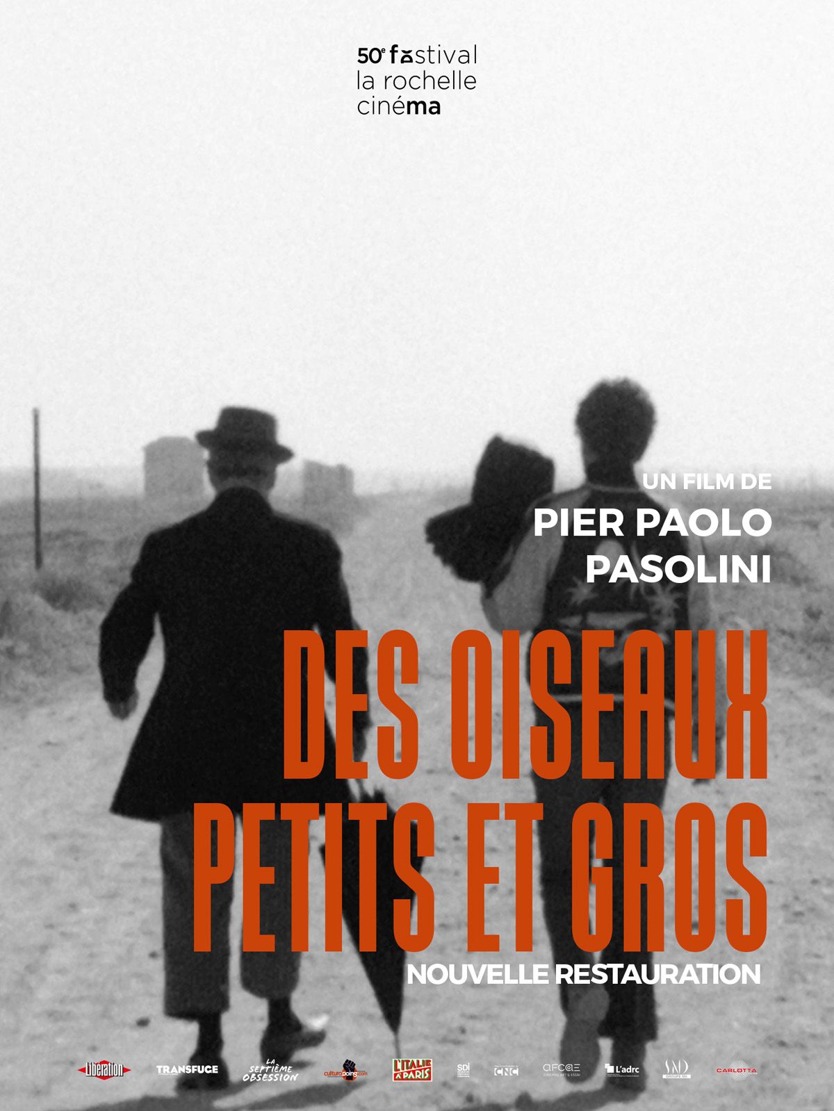 Des oiseaux petits et gros Des oiseaux petits et gros