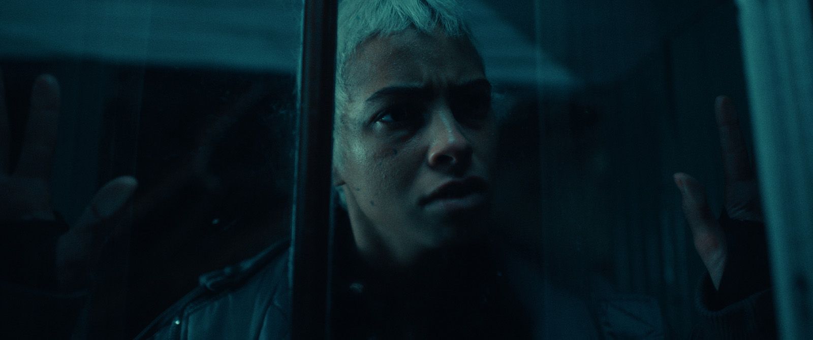 Photo du film She Will Photo 7 sur 14 AlloCiné