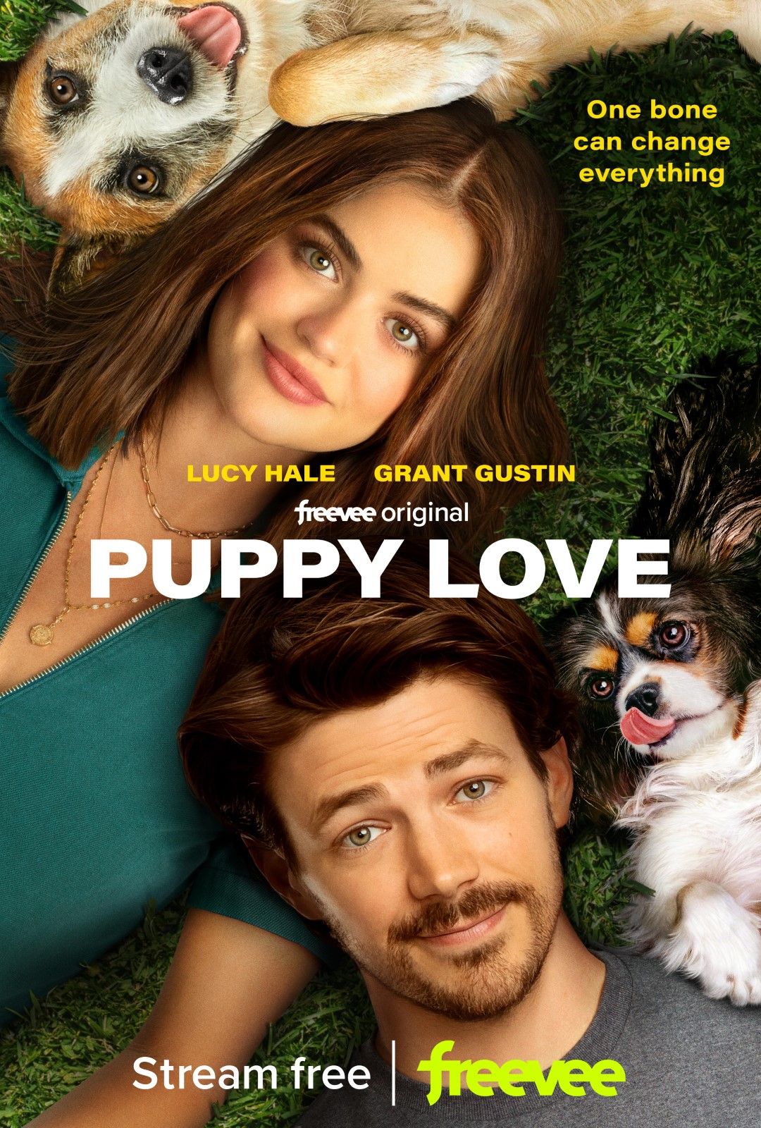 Bobs puppy sales love