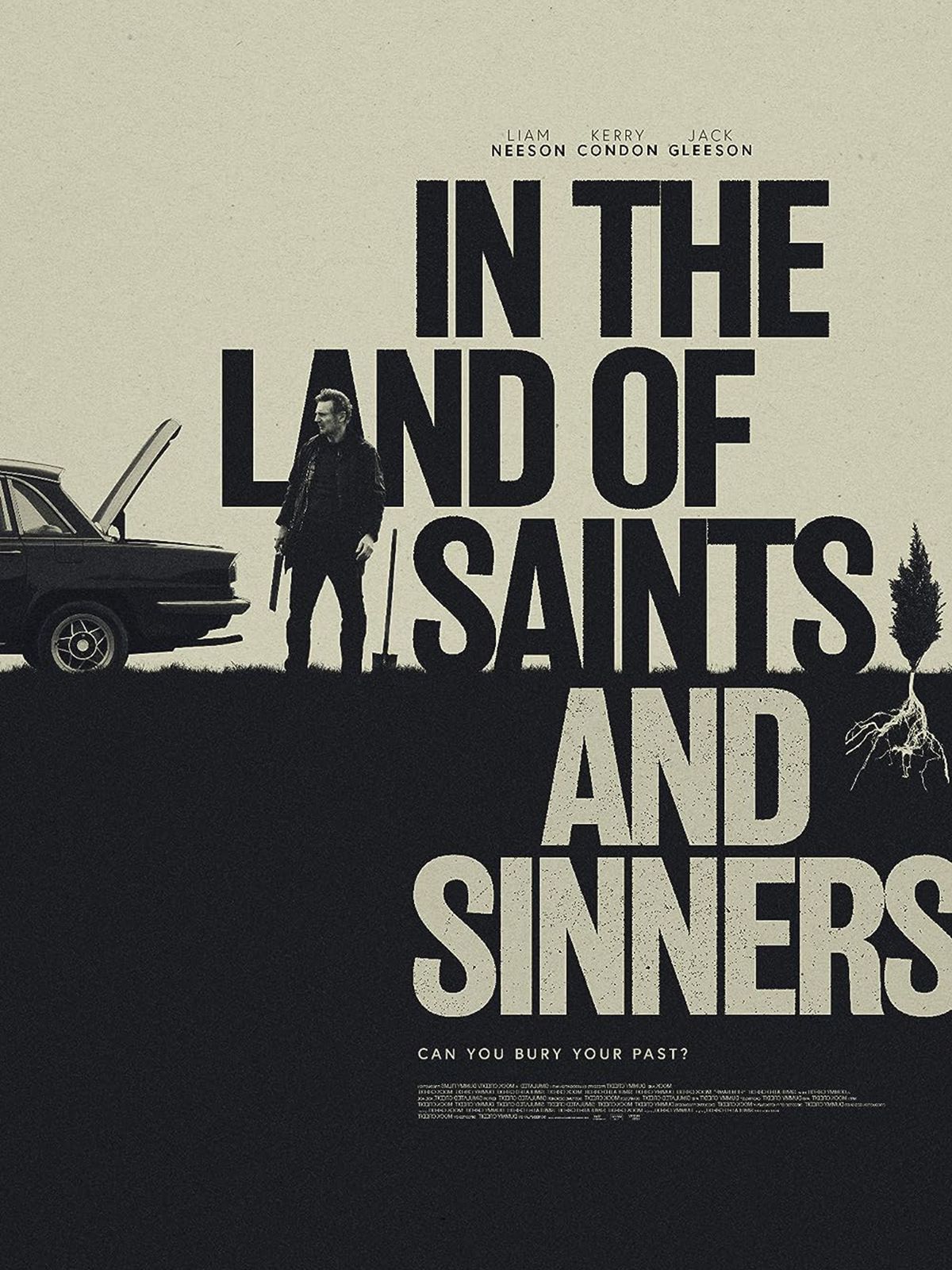 In The Land Of Saints And Sinners streaming gratuit