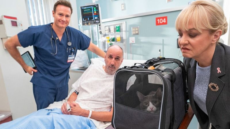 St. Denis Medical : Photo Robert Clendenin, Wendi McLendon-Covey, Josh Lawson