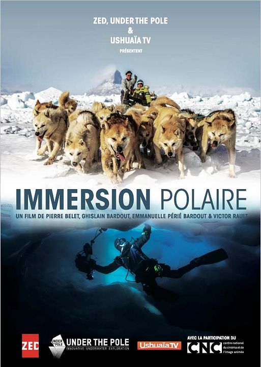 Immersion Polaire : Affiche