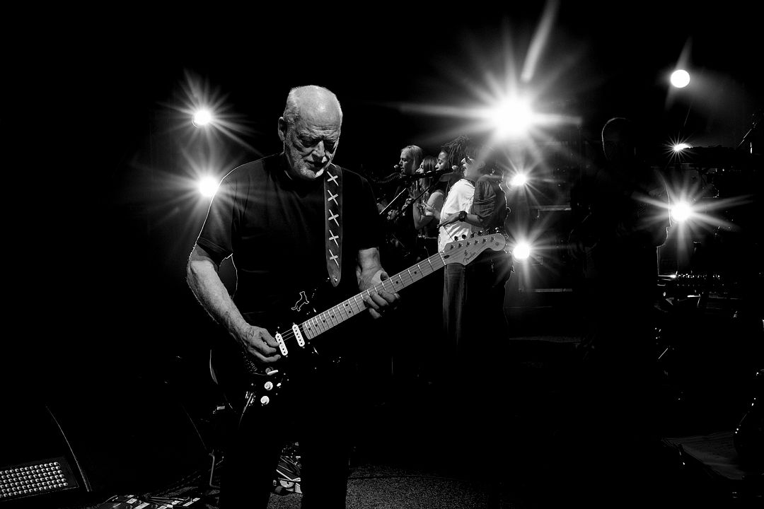 David Gilmour Live at the Circus Maximus, Rome : Photo David Gilmour