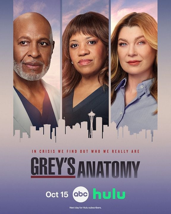 Grey's Anatomy : Affiche