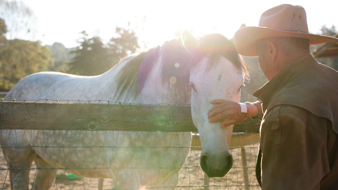 The Cowboy and the Queen : Photo