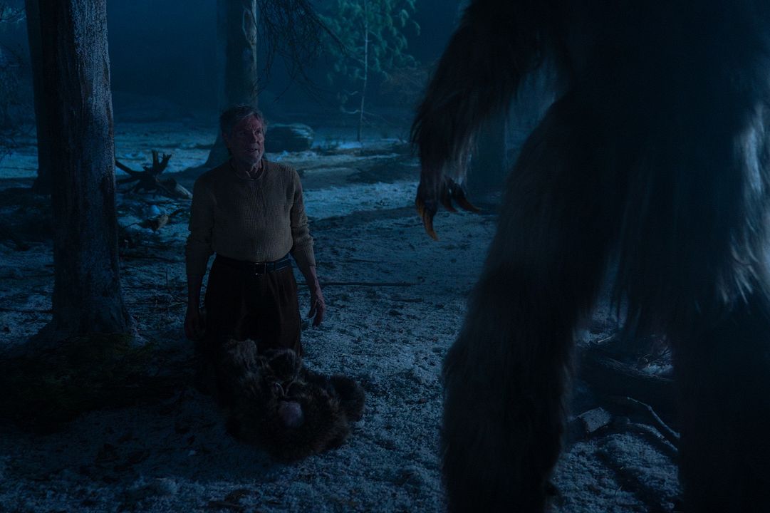The Yeti : Photo