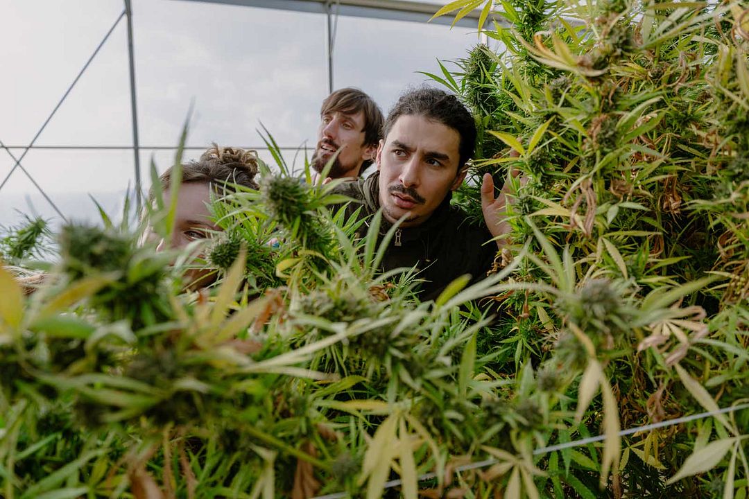 La Nirvana : Photo Ichem Bougheraba, Jean-Baptiste Brucker