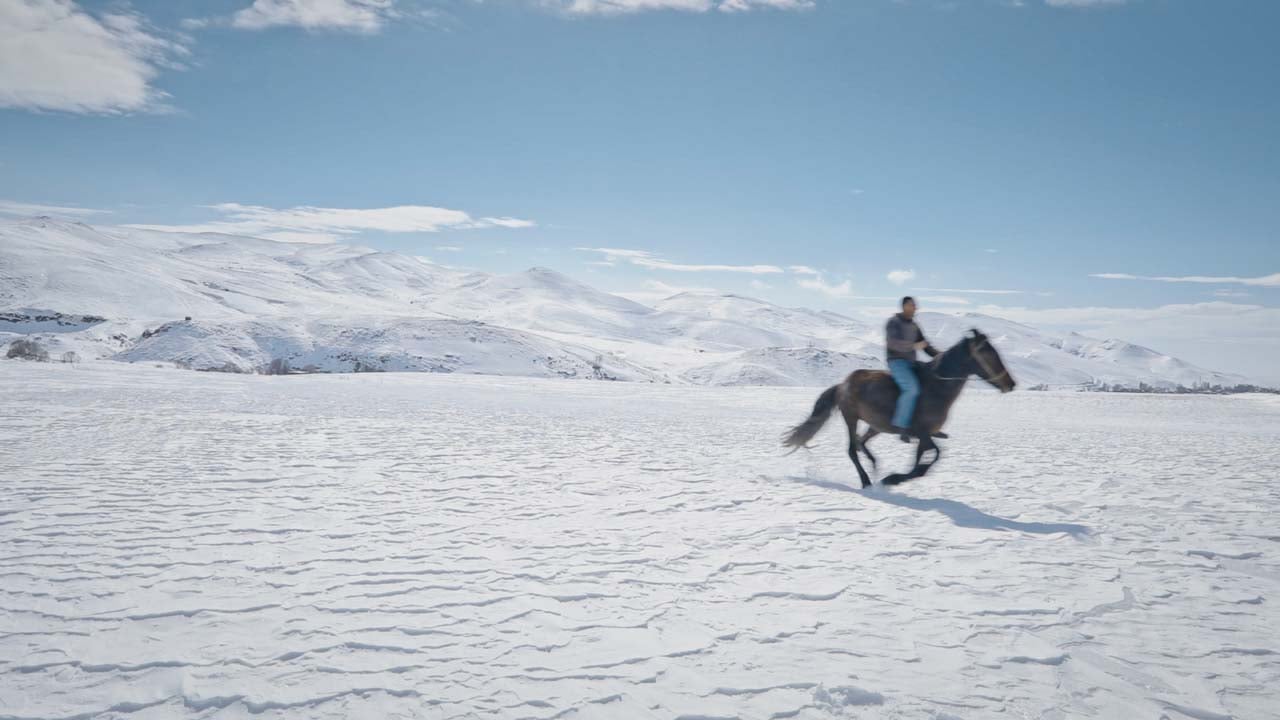 Five Dreamers and a Horse : Photo