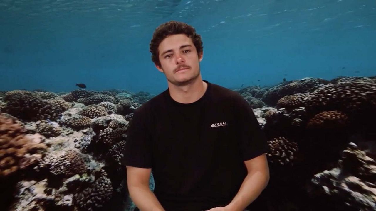 Titouan, les enfants du corail : Photo