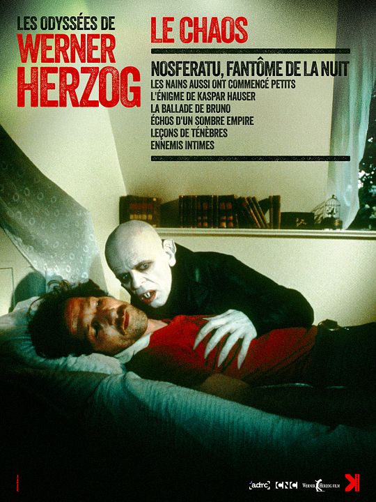 L'Énigme de Kaspar Hauser : Affiche