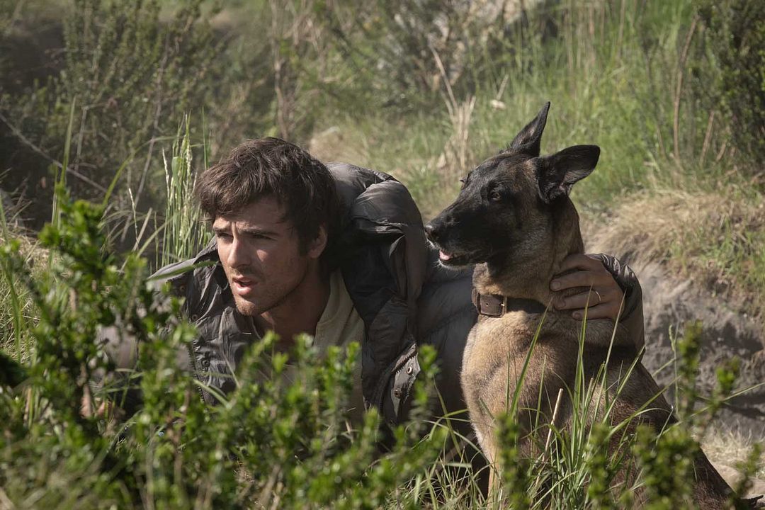 The Dog Stars : Photo Jacob Elordi