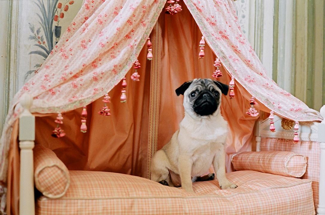 Making Marie Antoinette : Photo