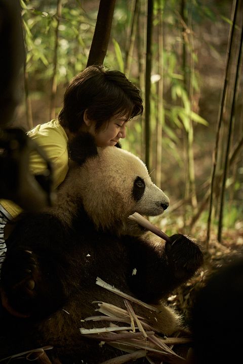 Moon Le Panda : Photo Noé Liu Martane