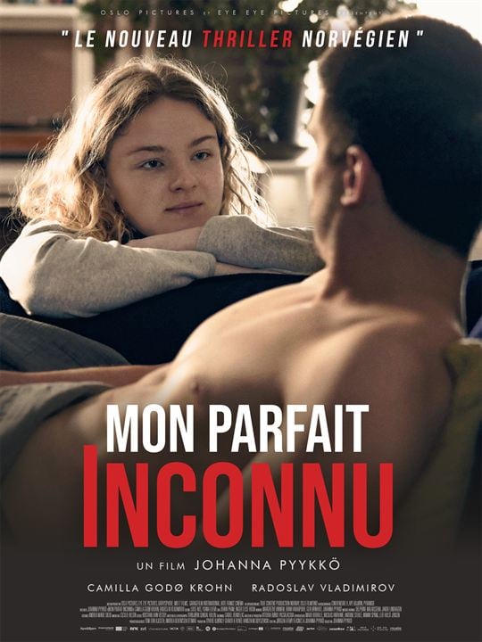 Mon parfait inconnu : Affiche