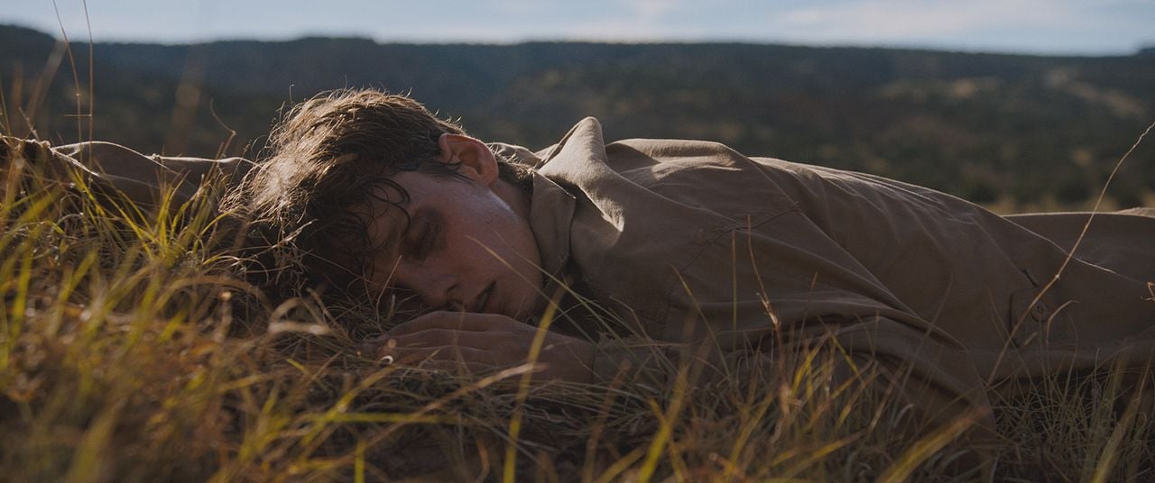 The Wilderness : Photo