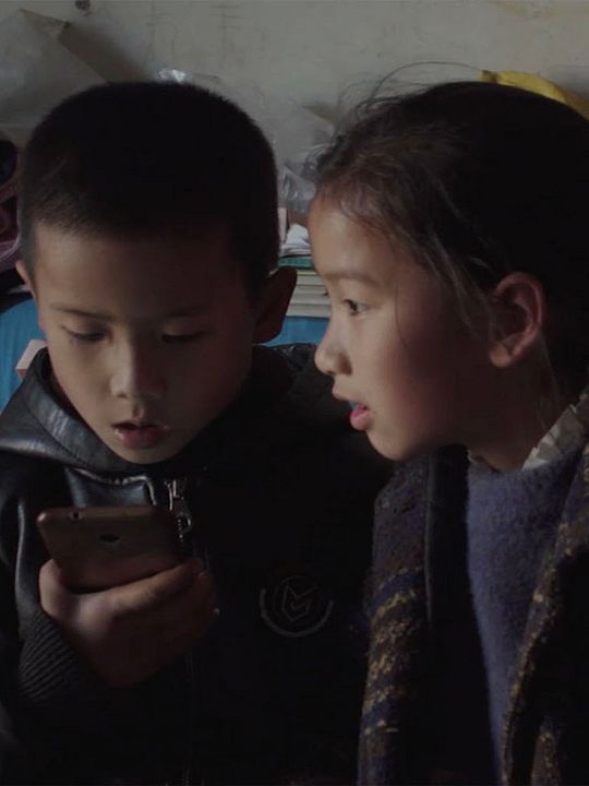 L'Héritage en division : Affiche