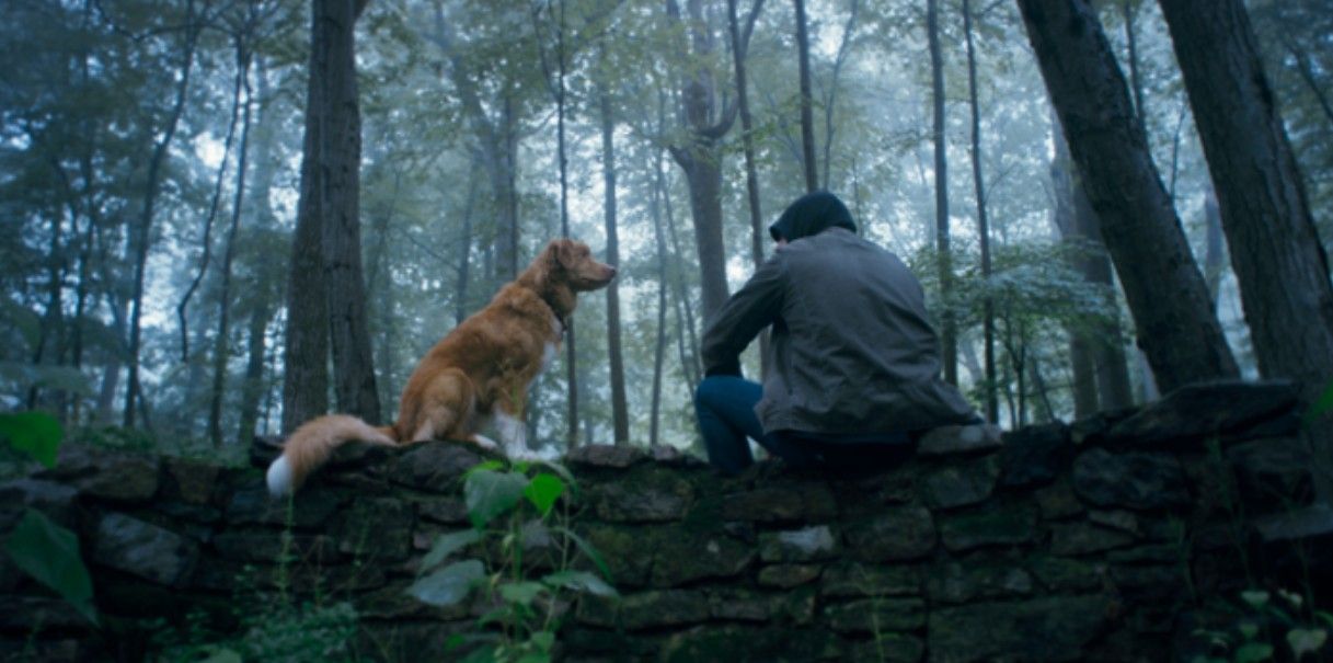 Good Boy : Photo