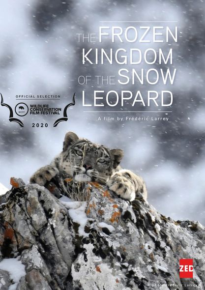 Le royaume glacé de la panthère des neiges : Affiche