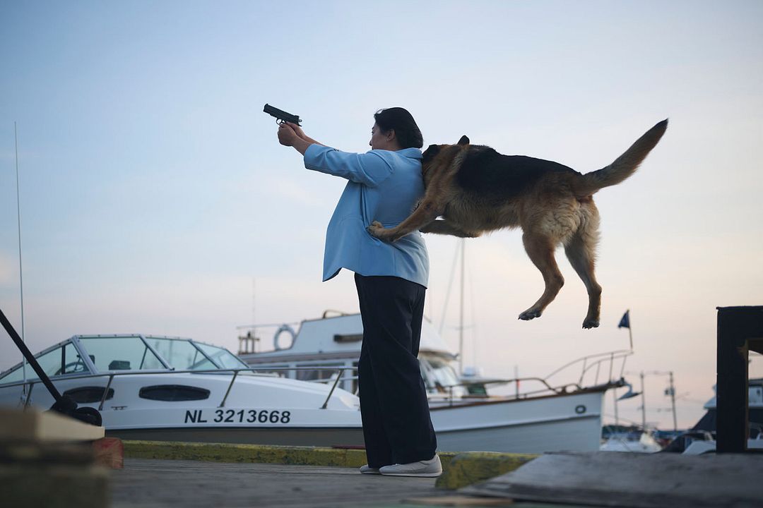 Hudson et Rex : Photo Nicola Correia-Damude