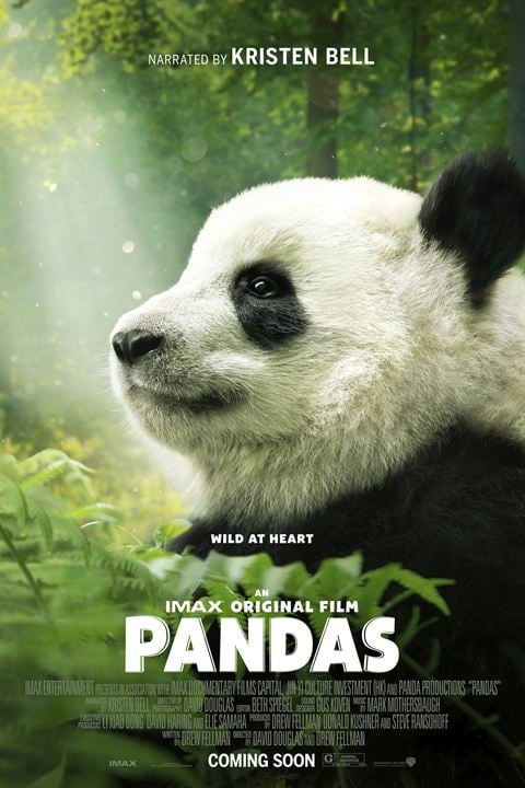 Pandas : Affiche