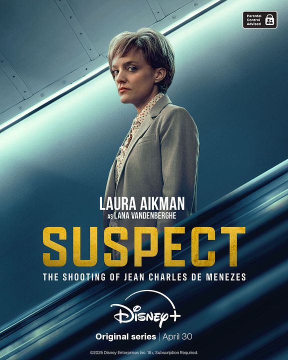 Mauvais suspect : Affiche