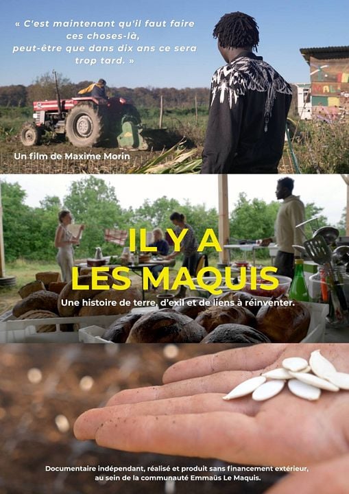 Il y a les maquis : Affiche