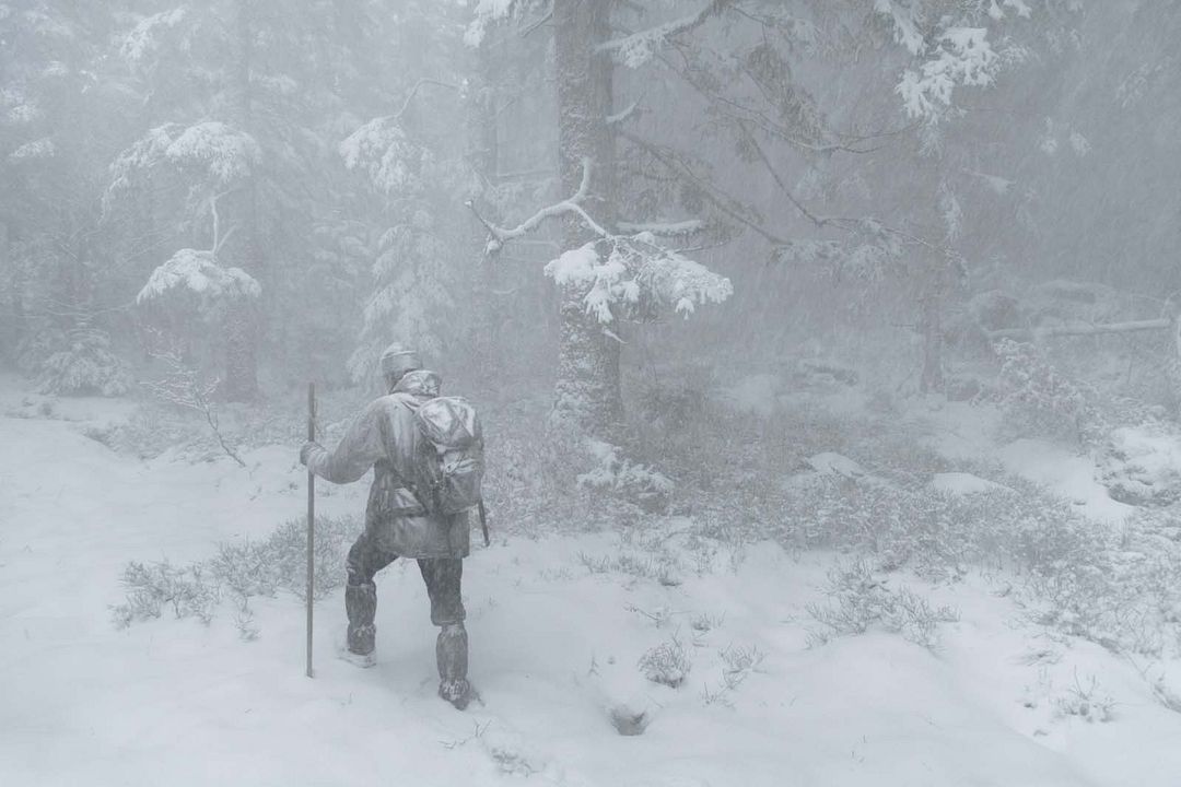 Le Chant des forêts : Photo