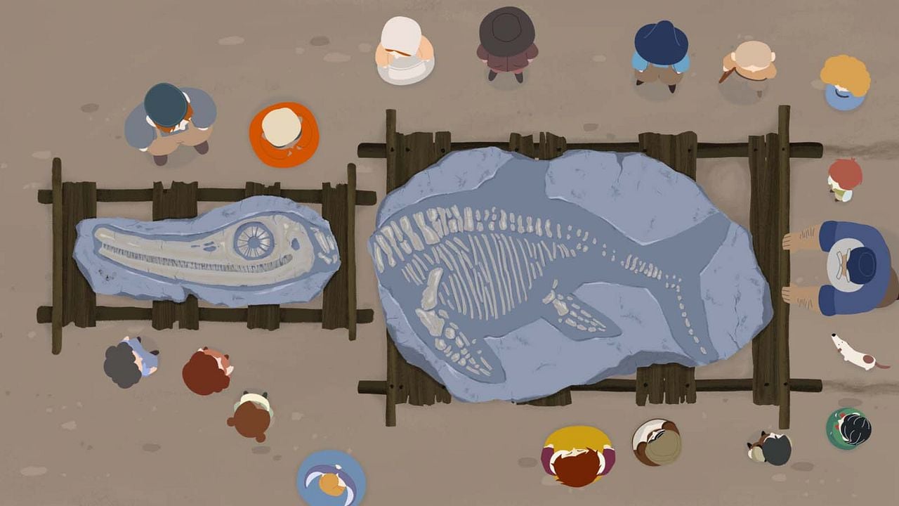 Mary Anning : Photo