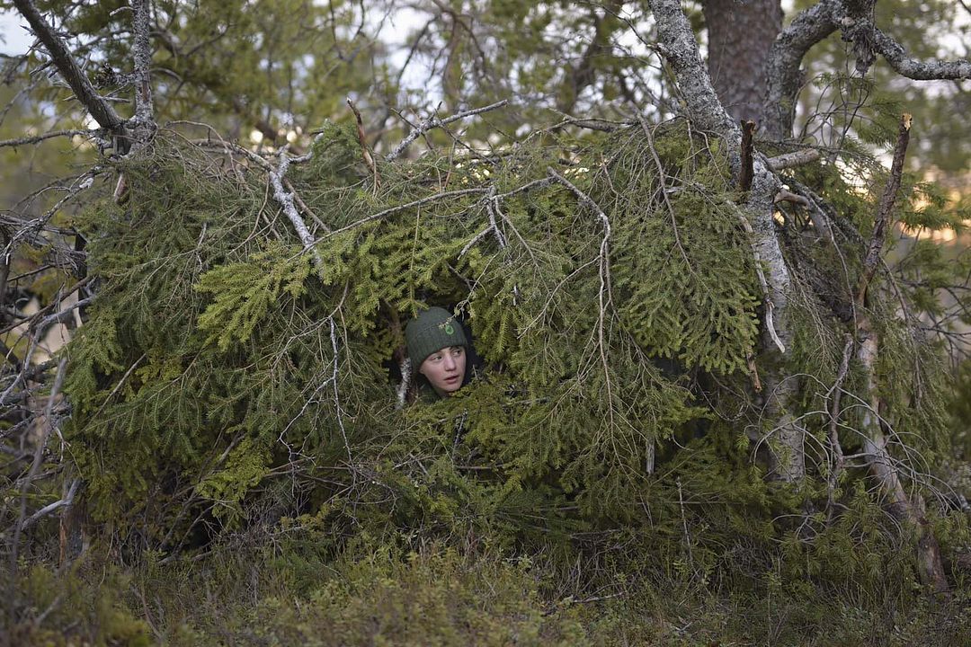 Le Chant des forêts : Photo