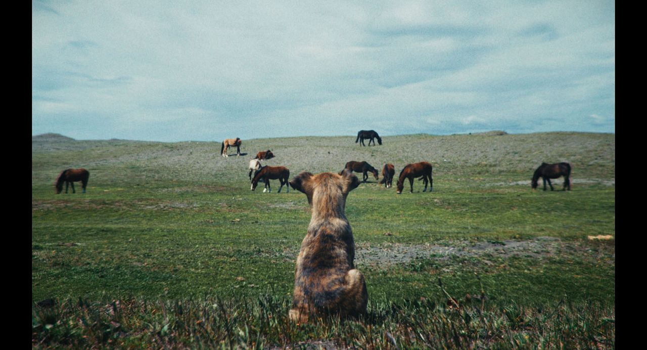 La Chienne : Photo