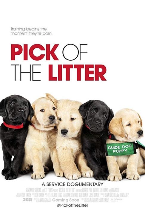 Pick of the Litter : Affiche