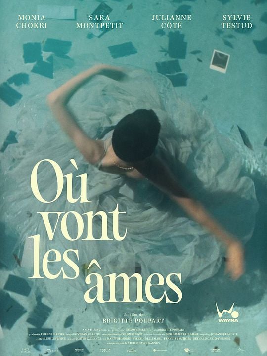 Où vont les âmes : Affiche