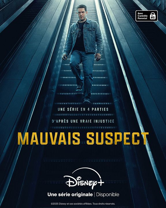 Mauvais suspect : Affiche