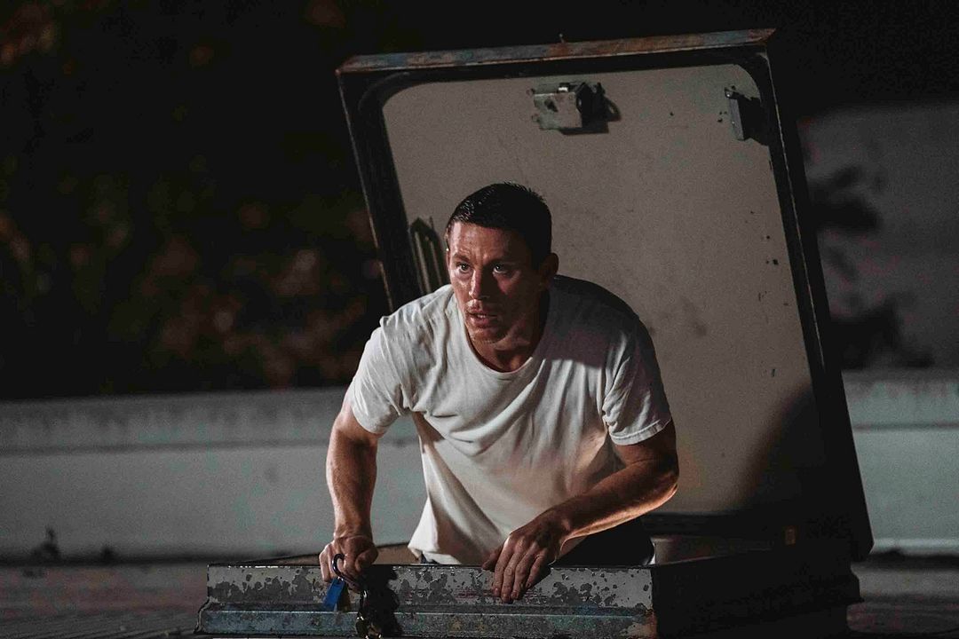 Un voleur sur le toit : Photo Channing Tatum