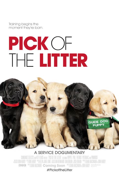 Pick of the Litter : Affiche