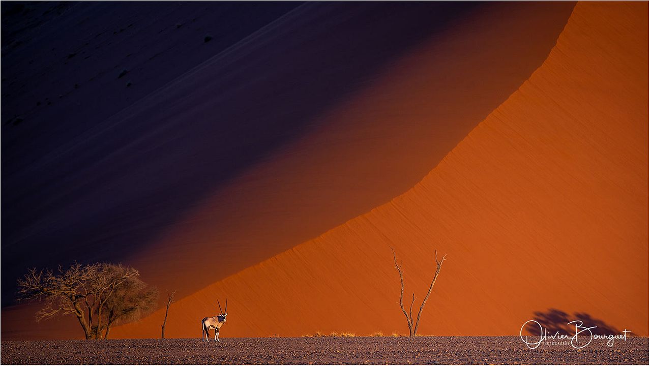 ALTAÏR conférences - Namibie, époustouflante par nature : Photo