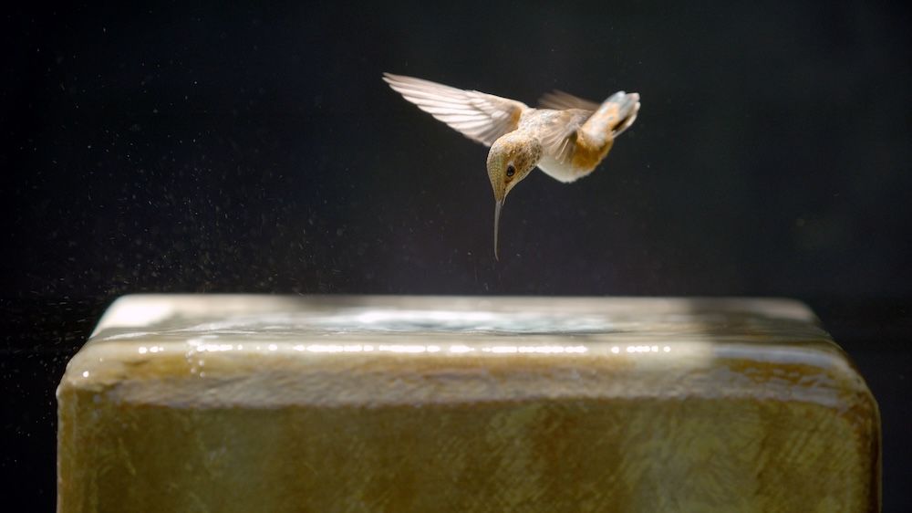 Every Little Thing : Photo