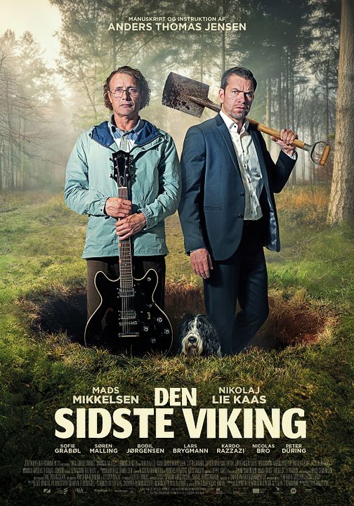 The Last Viking : Affiche