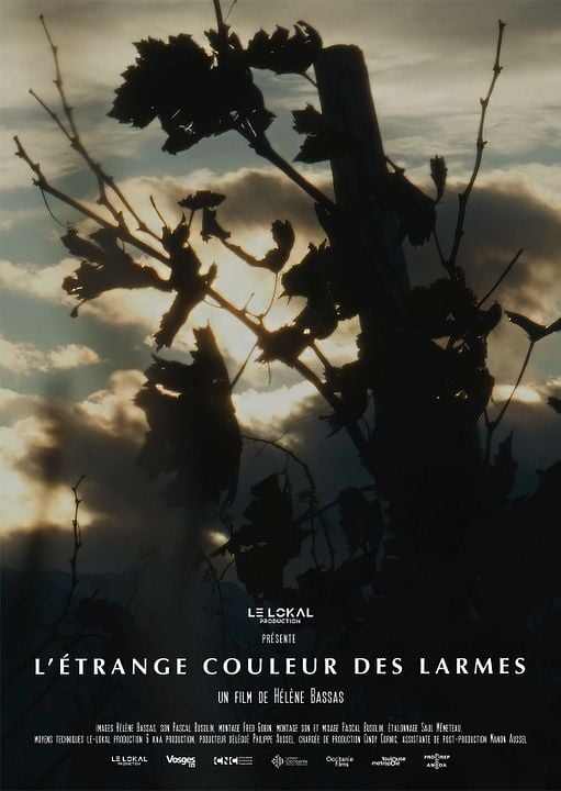 L’Etrange couleur des larmes : Affiche
