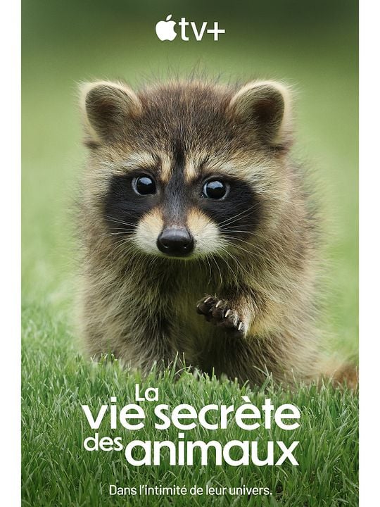 La Vie secrète des animaux : Affiche