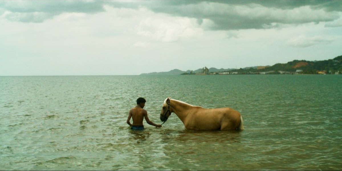 This Island : Photo