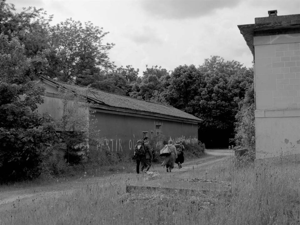 D'un pays lointain : Photo