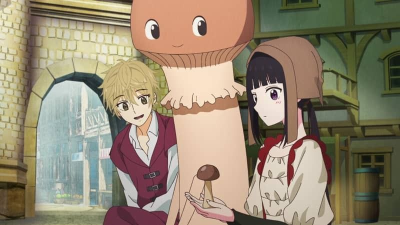 Champignon Witch : Photo