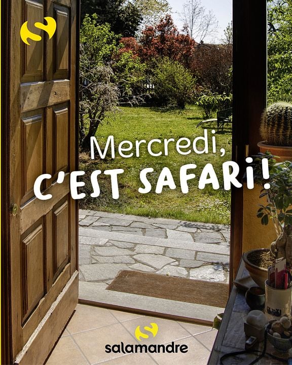 Mercredi, c’est safari : Affiche