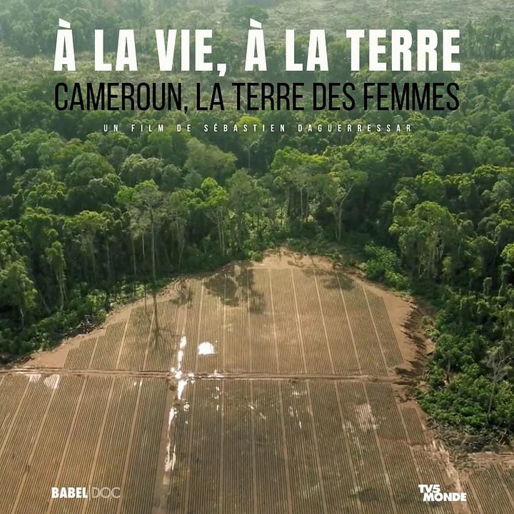 A la vie à la terre : Cameroun la terre des femmes : Affiche